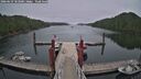 ./images/calvert/dock/20260629/dock20260629_103001M.jpg