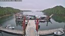 ./images/calvert/dock/20260630/dock20260630_065002M.jpg