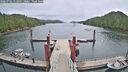 ./images/calvert/dock/20260702/dock20260702_112001M.jpg