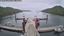 ./images/calvert/dock/20260702/dock20260702_133501M.jpg