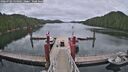 ./images/calvert/dock/20260703/dock20260703_134001M.jpg