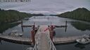 ./images/calvert/dock/20260703/dock20260703_184001M.jpg