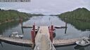 ./images/calvert/dock/20260703/dock20260703_202002M.jpg