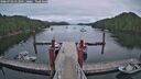 ./images/calvert/dock/20260703/dock20260703_212501M.jpg
