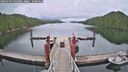 ./images/calvert/dock/20260704/dock20260704_142001M.jpg