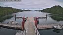 ./images/calvert/dock/20260706/dock20260706_181001M.jpg