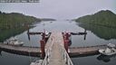 ./images/calvert/dock/20260707/dock20260707_171501M.jpg