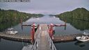 ./images/calvert/dock/20260707/dock20260707_183002M.jpg
