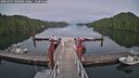 ./images/calvert/dock/20260707/dock20260707_190001M.jpg