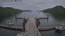 ./images/calvert/dock/20260708/dock20260708_183001M.jpg