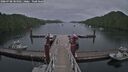 ./images/calvert/dock/20260708/dock20260708_184502M.jpg