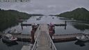 ./images/calvert/dock/20260709/dock20260709_200001M.jpg