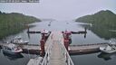 ./images/calvert/dock/20260709/dock20260709_202501M.jpg
