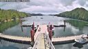 ./images/calvert/dock/20260710/dock20260710_122001M.jpg