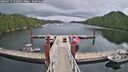 ./images/calvert/dock/20260711/dock20260711_122001M.jpg