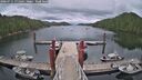 ./images/calvert/dock/20260711/dock20260711_171001M.jpg