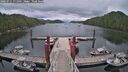 ./images/calvert/dock/20260711/dock20260711_171501M.jpg