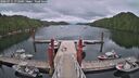 ./images/calvert/dock/20260711/dock20260711_172001M.jpg