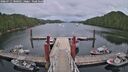 ./images/calvert/dock/20260711/dock20260711_180501M.jpg