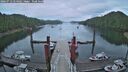./images/calvert/dock/20260712/dock20260712_054502M.jpg