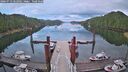 ./images/calvert/dock/20260712/dock20260712_062002M.jpg