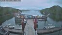 ./images/calvert/dock/20260728/dock20260728_061001M.jpg