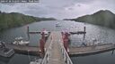 ./images/calvert/dock/20260730/dock20260730_132501M.jpg