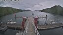./images/calvert/dock/20260730/dock20260730_141501M.jpg