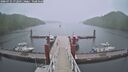 ./images/calvert/dock/20260731/dock20260731_172501M.jpg