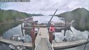 ./images/calvert/dock/20260803/dock20260803_105001M.jpg