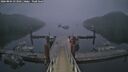 ./images/calvert/dock/20260804/dock20260804_053502M.jpg