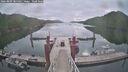 ./images/calvert/dock/20260809/dock20260809_085501M.jpg
