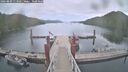 ./images/calvert/dock/20260809/dock20260809_113501M.jpg