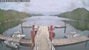 ./images/calvert/dock/20260810/dock20260810_155501M.jpg