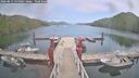 ./images/calvert/dock/20260813/dock20260813_135002M.jpg