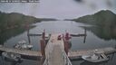 ./images/calvert/dock/20260814/dock20260814_120002M.jpg