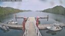 ./images/calvert/dock/20260814/dock20260814_154501M.jpg