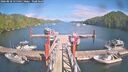 ./images/calvert/dock/20260818/dock20260818_155502M.jpg