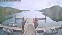 ./images/calvert/dock/20260820/dock20260820_110501M.jpg