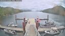./images/calvert/dock/20260829/dock20260829_113501M.jpg