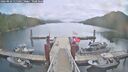 ./images/calvert/dock/20260829/dock20260829_115501M.jpg