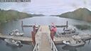 ./images/calvert/dock/20260829/dock20260829_124501M.jpg