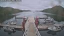 ./images/calvert/dock/20260829/dock20260829_155001M.jpg