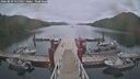 ./images/calvert/dock/20260829/dock20260829_155501M.jpg