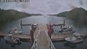 ./images/calvert/dock/20260829/dock20260829_160501M.jpg