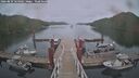 ./images/calvert/dock/20260829/dock20260829_164002M.jpg