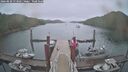 ./images/calvert/dock/20260830/dock20260830_073502M.jpg