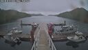 ./images/calvert/dock/20260830/dock20260830_151002M.jpg