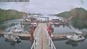 ./images/calvert/dock/20260831/dock20260831_152501M.jpg