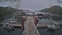 ./images/calvert/dock/20260831/dock20260831_155501M.jpg